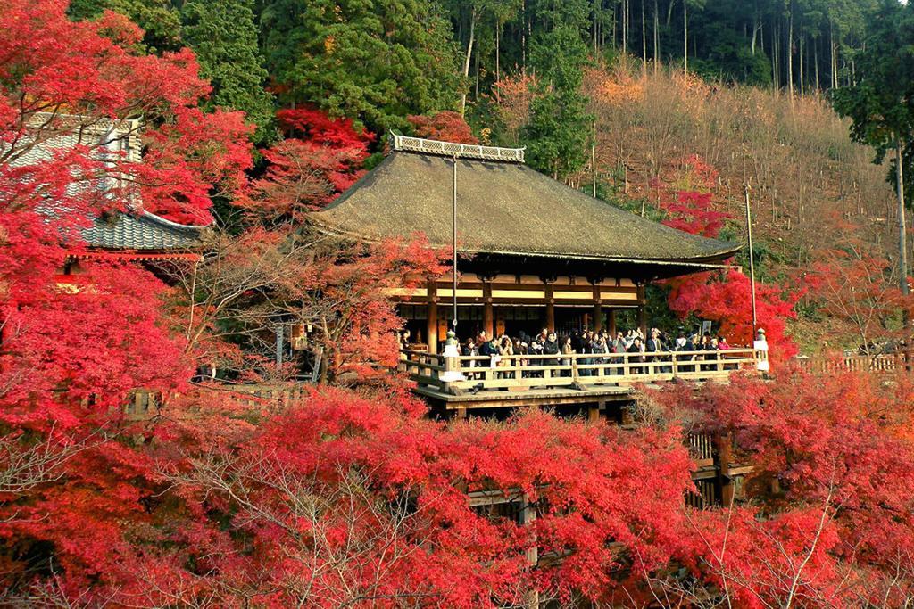 Rin Kyoto Kinkaku-Ji Temple Villa Exterior photo